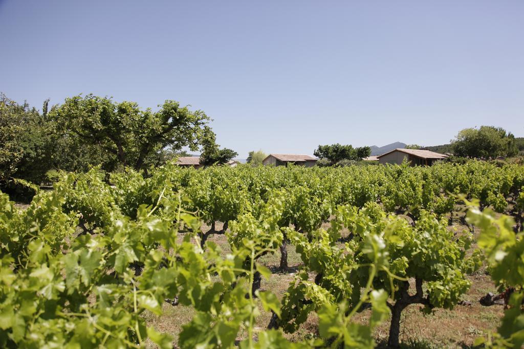 Domaine Des Bridoux Village De Gites Mirabel-aux-Baronnies Экстерьер фото