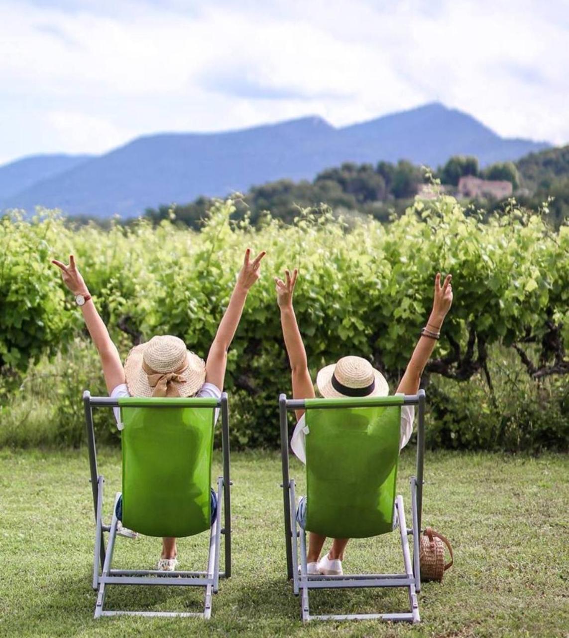 Domaine Des Bridoux Village De Gites Mirabel-aux-Baronnies Экстерьер фото